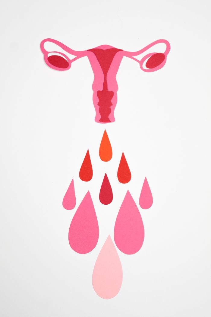 Testimonials Graphic representation of the female reproductive system highlighting menstruation with colorful abstract shapes.