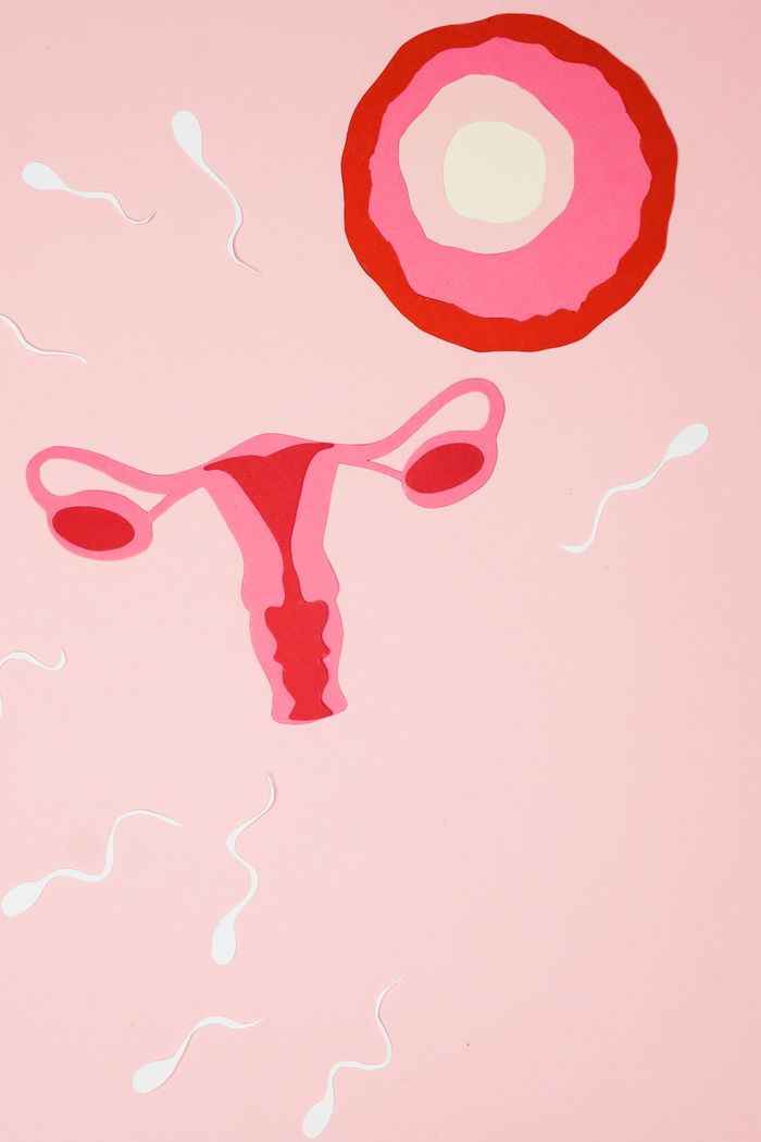 About Abstract representation of sperms approaching an ovum, symbolizing fertilization on a pink background.